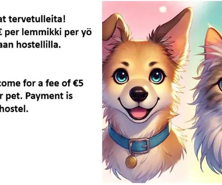 Majoitus Fox Kuopio