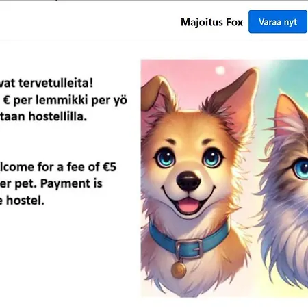 Hostel Fox Kuopio